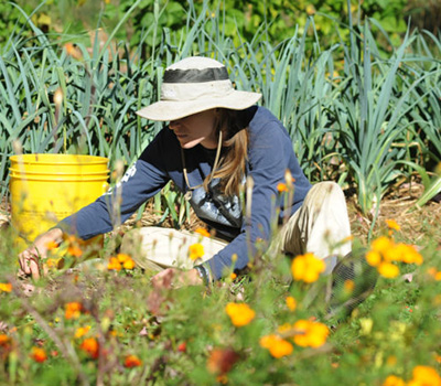 Therapeutic-Gardening-A06